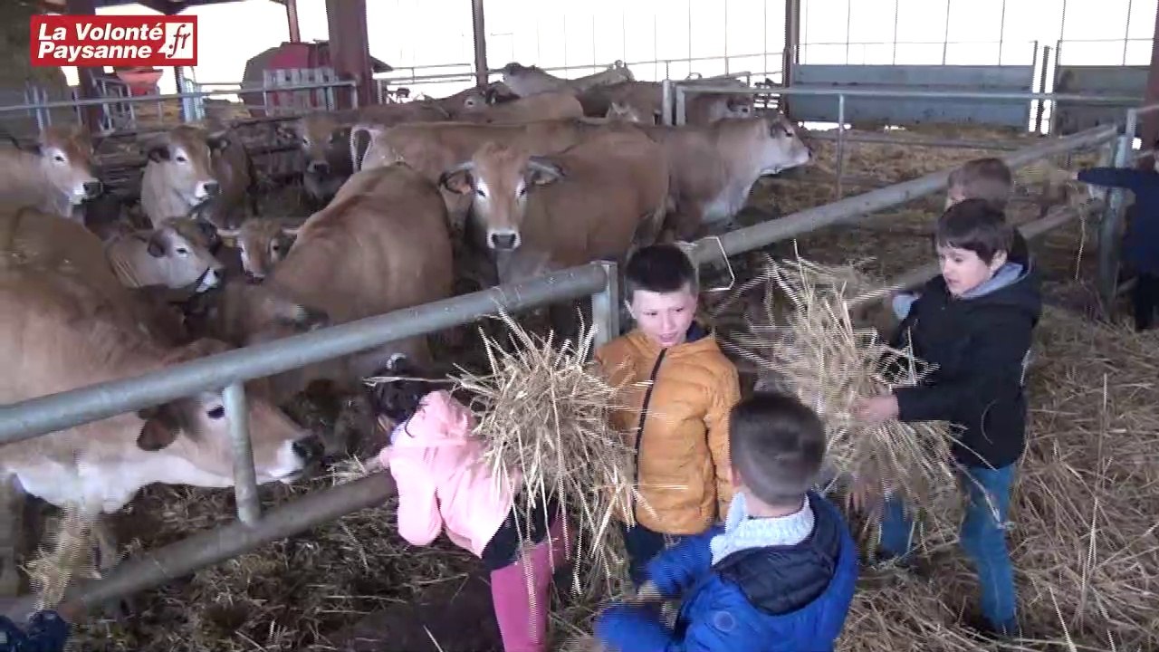 Made in viande à Bozouls
