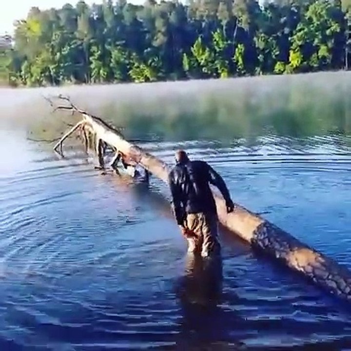 Marcher en équilibre sur un tronc d'arbre au dessus d'un lac... erreur