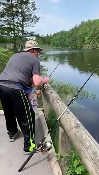 Ce serpent vole le poisson pêché accroché à la ligne de cette cane à pêche !