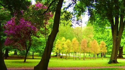 Baby Doll Bike, Scooter & Car Toys!