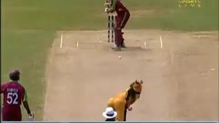 AUS vs WI Match Highlights, Australia vs West Indies ICC Cricket 2019