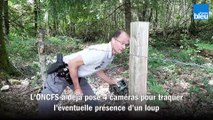 Pose_de_cameras_pour_traquer_un_éventuel loup en Dordogne par l'ONCFS