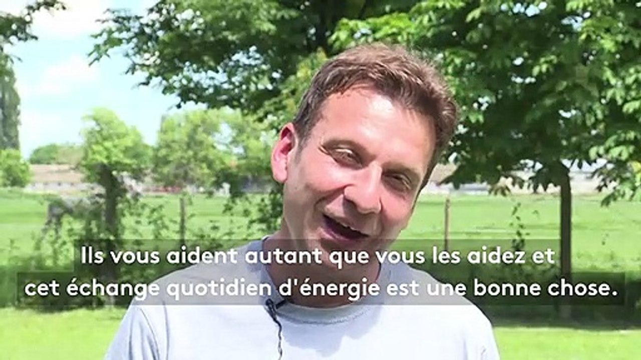 Serbie : dresser des chiens pour réinsérer les prisonniers