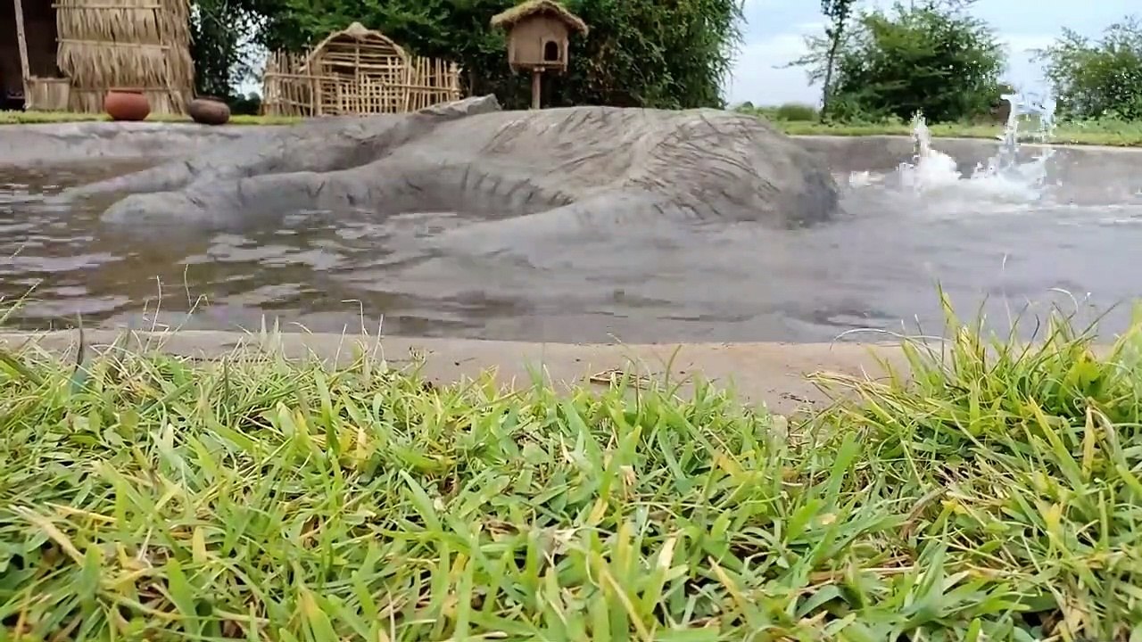 Unbelievable! Build Swimming Pool Around Elephants