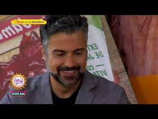 Jaime Camil, ¿de regreso a las telenovelas? | Sale el Sol