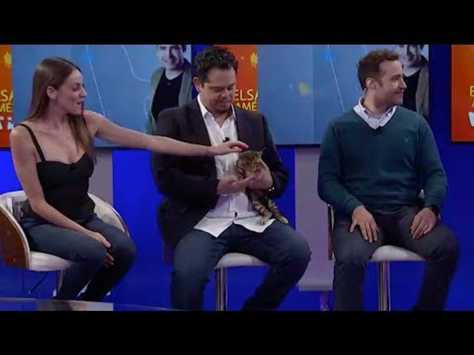 Educar a tu mascota, consejos para lograrlo