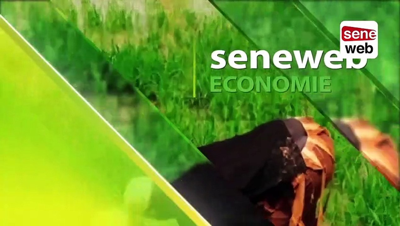 ROYALTIES DE TIMIS, ALIOU SALL, POURSUITES...- Le Dg de Bp repond