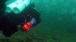 Un plongeur se retrouve piégé dans un banc de méduses