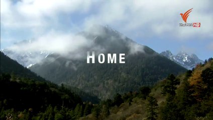 ท่องโลกกว้าง : โลกธรรมชาติยุคใหม่ ตอน บ้าน