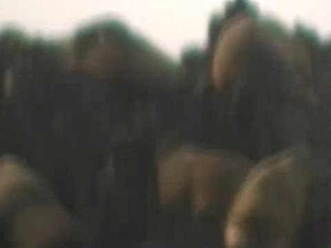 14-Monterey y 17 Millas