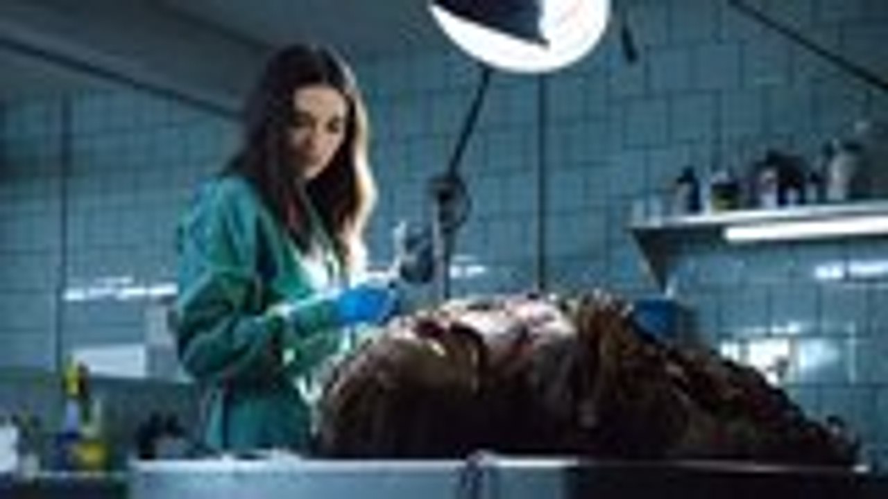 'Swamp Thing' Canceled After Its Debut on DC Universe | THR News
