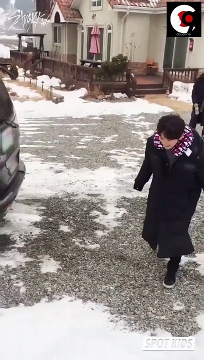 [SPOT KIDS] A real penguin has appeared! A peep at the waddling Lee Know Penguin playing with a ball