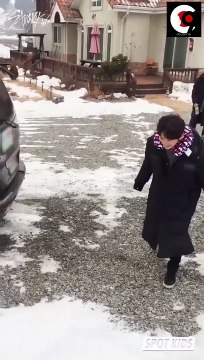 [SPOT KIDS] A real penguin has appeared! A peep at the waddling Lee Know Penguin playing with a ball