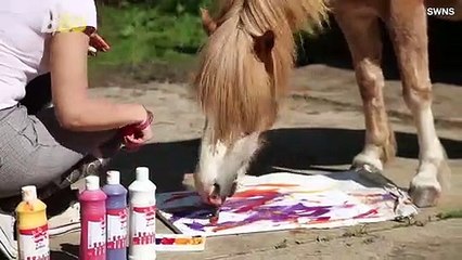 Art Student Teaches Pony to Paint