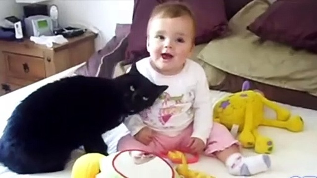cat and baby playing