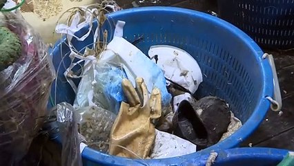 صيادون يزيلون البلاستيك من البحر الأدرياتيكي