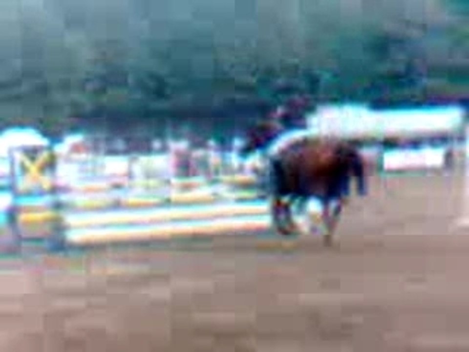 Concours hippique de dole