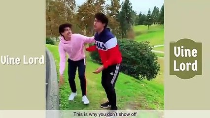 Best Alan & Alex Stokes Compilation 2019 - New Alan & Alex Stokes Vine - Vine Lord