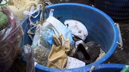 A la pêche au plastique dans l'Adriatique