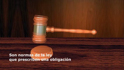 Edgar Raúl Leoni Moreno y el derecho objetivo