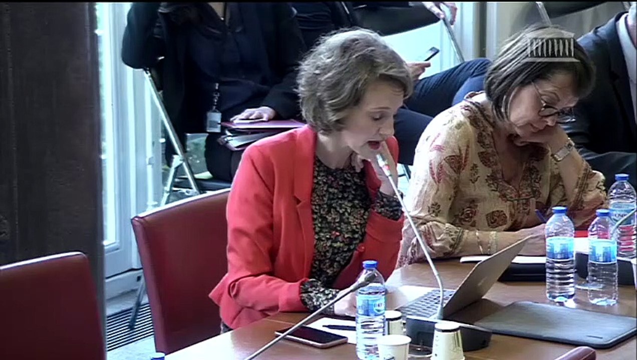 Commission des finances : Commissions d’évaluation des politiques publiques ; M. Franck Riester, ministre de la culture ; M. Christophe Castaner, ministre de l’intérieur - Jeudi 6 juin 2019