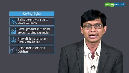 Result Analysis of SEYA INDUSTRIES