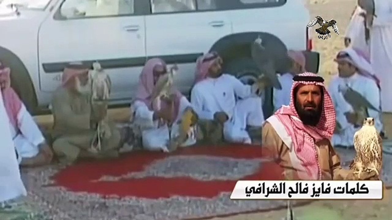 شيلة