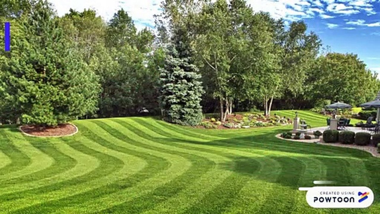 Complete Yard Maintenance