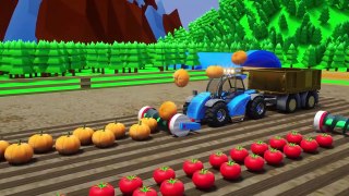 Frutas recolectadas por la granja de camiones. Camión Combinador, Tractor trabajando en granja