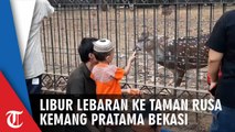 Libur Lebaran, Taman Rusa di Kemang Pratama Bekasi Diserbu Anak-Anak