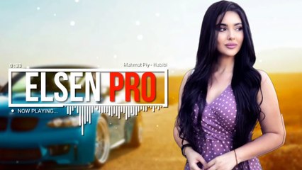 Mahmut PLY - Habibi (Remix) 🎶 | Official Audio