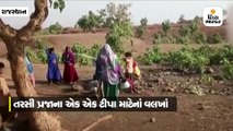 પાણીના પીપને તાળું મારીને રાખવું પડે, અહીં પાણીની પણ થાય ચોરી