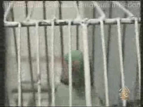 Un perroquet qui lit le coran (al jazzira)