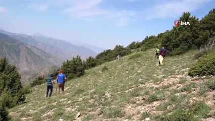 Oltu'da 'Çaşır' sezonu geç başladı