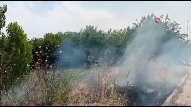 UNESCO Dünya Miras Listesi'nde bulunan Hevsel Bahçeleri yanmaktan son anda kurtuldu