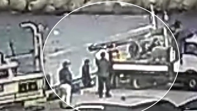 가족 동원해 어린 대게 불법 유통한 50대 구속 / YTN