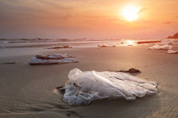 Le rapport alarmant sur la pollution de la mer Méditerranée