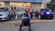 Ces policiers japonais aident des poussins à traverser la route !