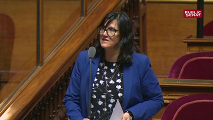 Plateforme des données de santé : « On peut redouter des cyberattaques » (Apourceau-Poly)