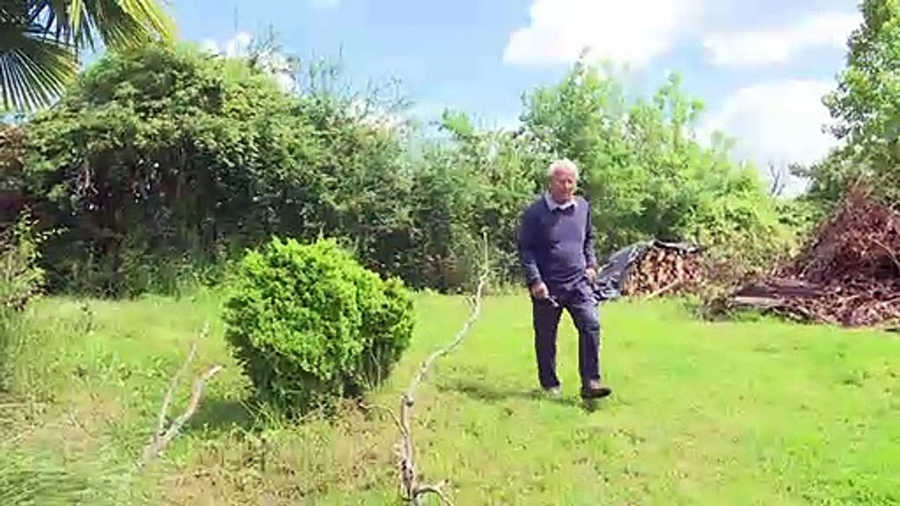 Sind krähende Hähne Kulturerbe?