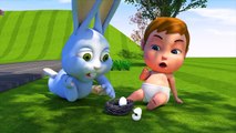 Baby Boong & Rabbit Help Animals - Collect Eggs Animal W Education Nursery Rhymes For Children