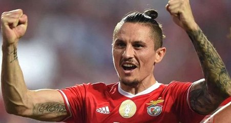 Ljubomir Fejsa'nın Fenerbahçe'ye maliyeti belli oldu!