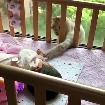 Quand un adorable chat borde un bébé, voici ce que ça donne. Mignon !