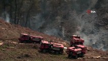 Muğla’da orman yangını: 2 hektarlık kızılçam ormanı yandı