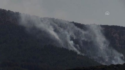 Milas'taki orman yangını kontrol altında