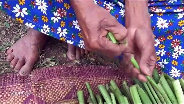 Lasia pousses Cuisson des Aliments Sains, dans mon Village par la grand-mère | la Vie du Village