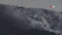 Muğla'da orman yangını: 2 hektarlık kızılçam ormanı yandı