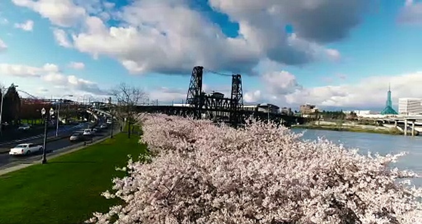 생중계식보 실제카지노 식보전략 LD-88.COM 코드 6969 추천인 MTX 코드 주소 도메인 사이트 추천 놀이터 안전 실시간 파워볼 유출 픽 메이저 먹튀 사설 검증 인증 조작 바카라 룰렛 식보 카지노 온라인 라이브 인터넷 팁 규칙 토토