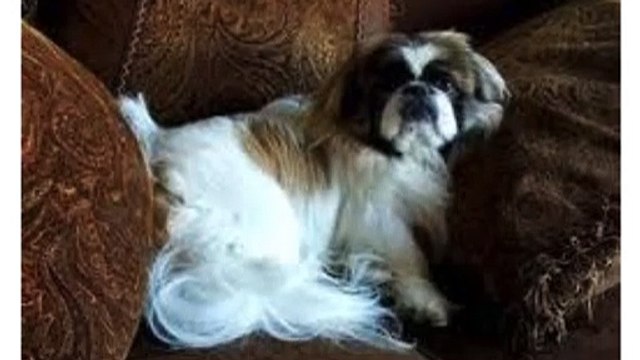 Addiction Counseling Littleton CO|Mental Health Counseling Littleton CO