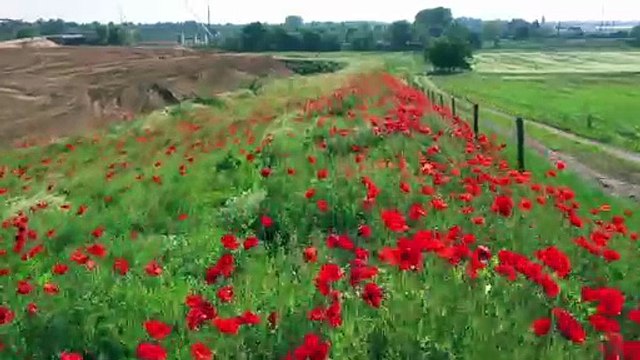 DNA - Vues aériennes des chantiers de la nouvelle Autoroute A355 (Grand Contournement Ouest de Strasbourg)